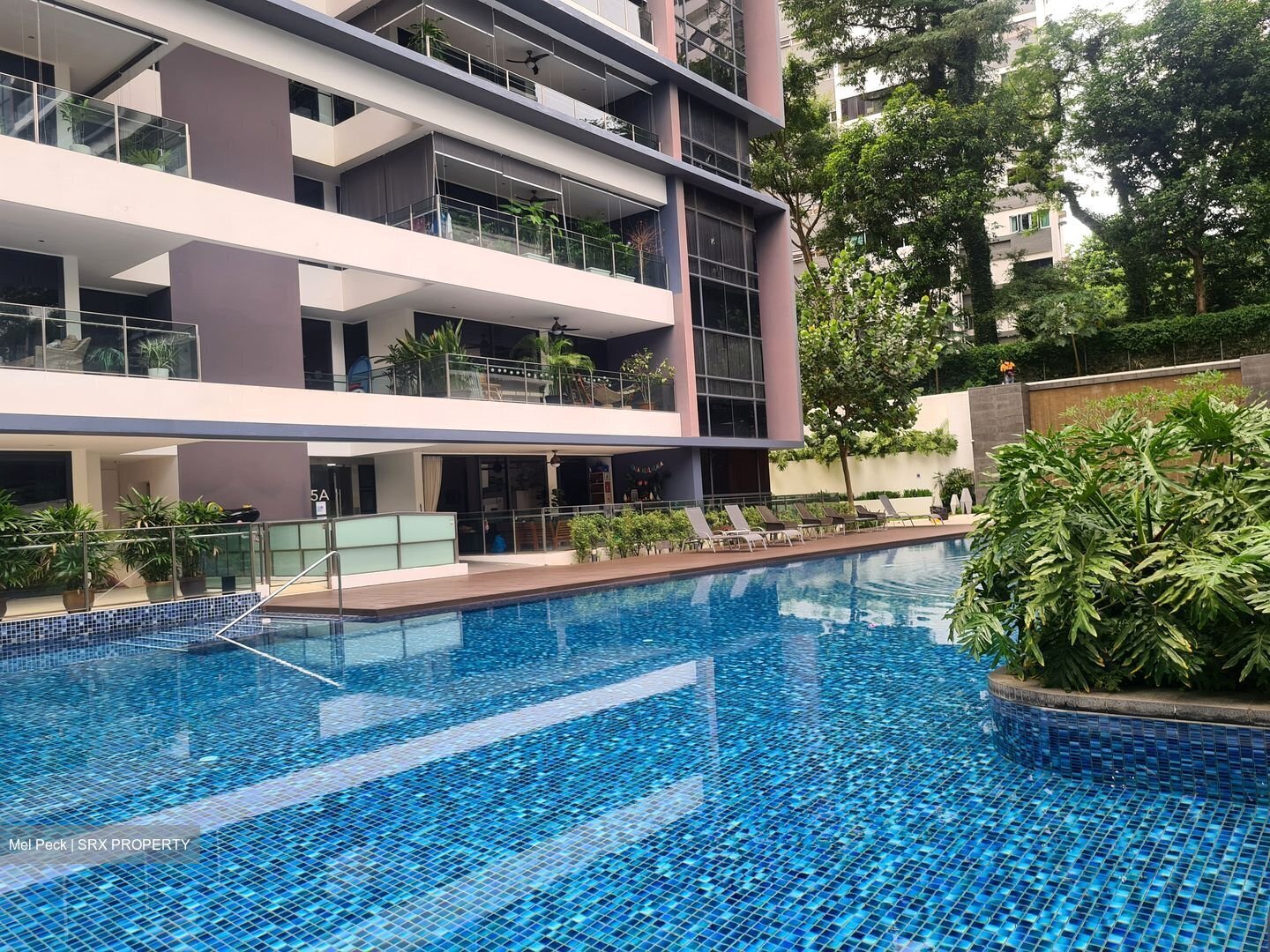 Treasure On Balmoral (D10), Apartment #456251561